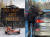 캐나다 앨버타주 재스퍼국립공원에 설치된 경고 표지판(왼쪽)과 사슴이 차를 핥고 있는 모습. [트위터 캡처]