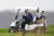 일요일인 지난 11월 22일 도널드 트럼프 미국 대통령이 트럼프내셔널골프클럽에서 골프 카트를 타고 있다. AP=연합뉴스