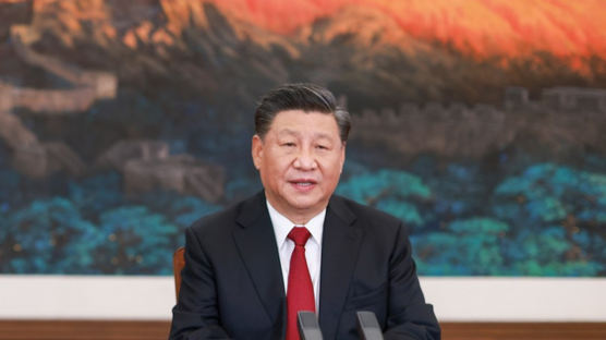 시진핑 “쌍순환, 폐쇄경제 아니다” 국제사회에 강조하는 속내
