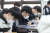2021학년도 대학 수학능력시험을 9일 앞둔 24일 부산 구덕고등학교에서 고3 학생들이 공부하고 있다. 연합뉴스