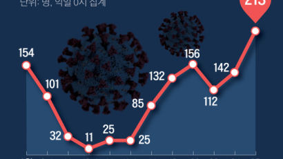 “코로나 3차 폭증 중차대 고비”…서울 확진자 213명 최고치 기록