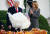  도널드 트럼프 미국 대통령이 24일(현지시간) 워싱턴 백악관 로즈가든에서 열린 추수감사절 칠면조 사면 행사에서 올해 살아남게된 콘(Corn)의 사면을 공식 선포하고 있는 것을 부인 멜리나아가 지켜보고 있다. AP뉴시스