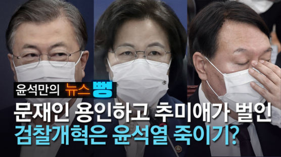 검찰개혁 외치는 秋의 무리수···정작 한일이라곤 尹 압박뿐 