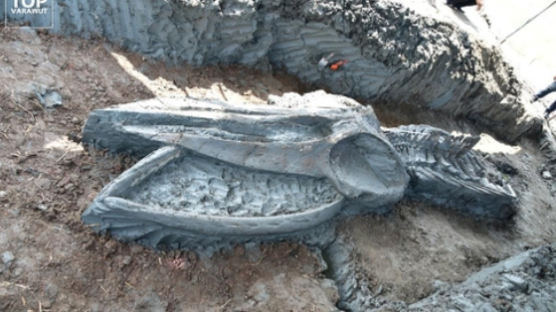 머리 길이만 3m···태국서 5000년 전 추정 '고래 뼈' 발견됐다
