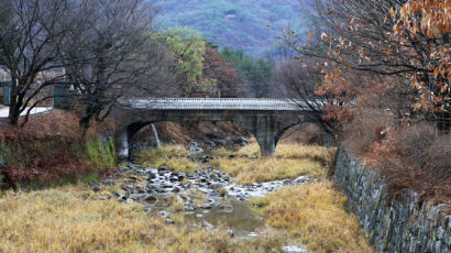 “다리 밑에서 주워왔다” 원조··· 순흥 청다리 또다른 슬픈 역사