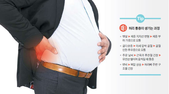 [건강한 가족] 허리가 왜 아프지? 뱃살·골다공증 점검하고, 보온에 신경 쓰세요