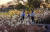 왼쪽부터 맹서율·박서연·맹서후 학생기자가 갈대가 한창인 난지한강공원 생태습지원에서 박쥐 모니터링에 나섰다.