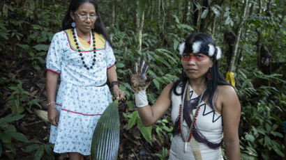 “숲은 파는 물건 아니다” 아마존 지켜낸 원주민 여성 '그린 노벨상' 받았다