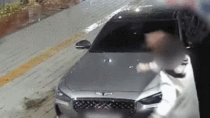 제네시스 차량에 화분 던진 여성, 경찰 자진출석…조사 받고 귀가