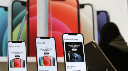 애플 ‘덕’ 웃은 한국 OLED...화웨이 ‘탓’ 엇갈린 내년 전망