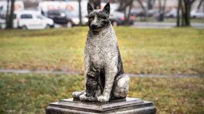 에스토니아 마을에 세워진 떠돌이 개 동상…"모든 유기동물에 바친다"