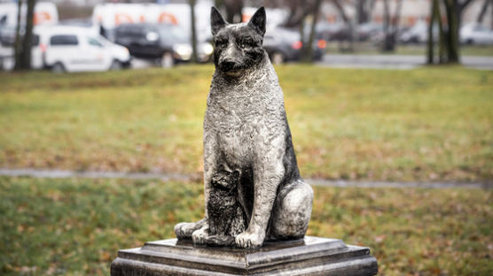 에스토니아 마을에 세워진 떠돌이 개 동상…"모든 유기동물에 바친다"