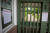 지난 17일 경기 의왕시 서울구치소 출입문에 접견중지 안내문이 붙어 있다. 뉴스1