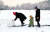 중부지방에 눈이 내린 지난 13일 서울 목동 용왕산공원에서 눈사람을 만들고 있는 모습. 변선구 기자