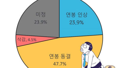 기업 47.7% “내년 연봉 동결”…인상 예정 기업은 23.9%