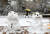 중부지방에 눈이 내린 지난 13일 서울 중랑구 신내동의 한 공원에 만들어진 눈사람. 내년 1월에는 서해안과 제주도, 2~3월은 강원도를 중심으로 많은 눈이 내릴 것으로 보인다. 뉴스1