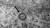 질병관리본부가 공개한 코로나19 고해상 전자현미경 사진. 동그란 것이 바이러스이고, 화살표로 표시한 부분이 스파이크다. 사진=뉴스1