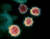 코로나바이러스 전자현미경 사진. 미국 국립알레르기감염병연구소