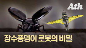 추락 않고 은밀한 미션 수행…장수풍뎅이 로봇 만든 한국인 