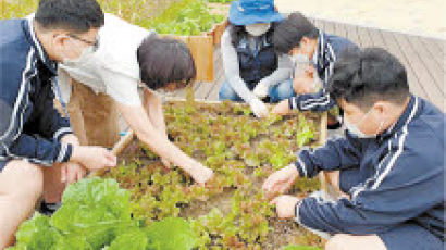 [issue&] 청소년에게 농업의 중요성 가르치는 ‘학교텃밭 활동 프로그램’ 성료