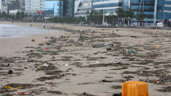 바다 위 플라스틱 11만8000t…2030년까지 절반으로 줄인다