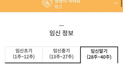 "남편 반찬 챙겨놓기"...만삭 임산부 분노케한 서울시 사이트