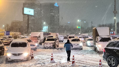 5개 시·도 대설경보에 중대본 비상 2단계 가동