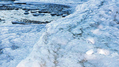 [사진] 부산 앞바다도 얼었다