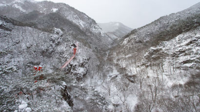 눈부신 강천산, 빨간 구름다리 품은 한폭 수묵화