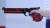 진종오가 쓰는 10m 공기권총 ‘EVO 10E’. 오스트리아 총기회사 스테이어가 진종오만을 위해 1년에 걸쳐 제작한 특별판이다. [중앙포토]