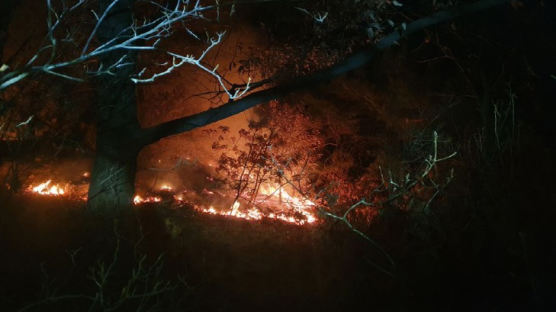 한밤중 서울 노원구 수락산 화재…인명피해는 없어