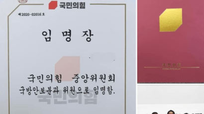 '공모전 표절왕' 해임한 국민의힘 "부적격 사유 공개는 곤란"