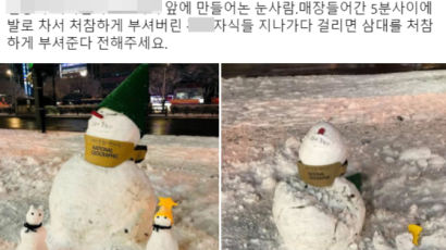 ‘눈사람 파괴자’부터 BTS도 만든 ‘눈 오리’…올겨울 폭설 천태만상