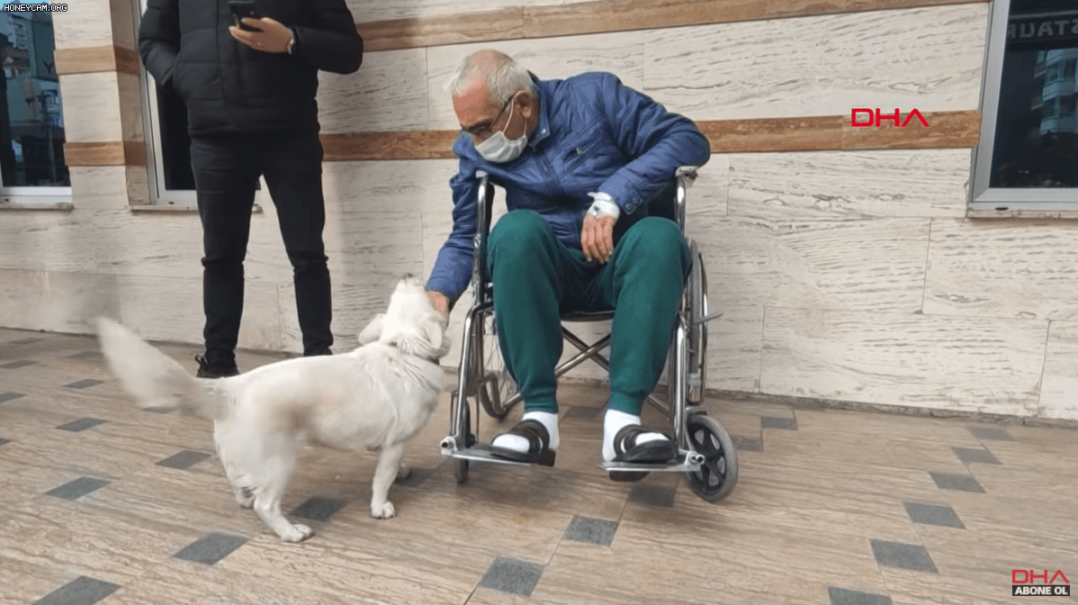 터키 트라브존의 한 병원에서 지난 20일(현지시간) 세만 센투르크가 잠시 외출 허가를 받고 그의 강아지와 재회했다. [DHA 유튜브]