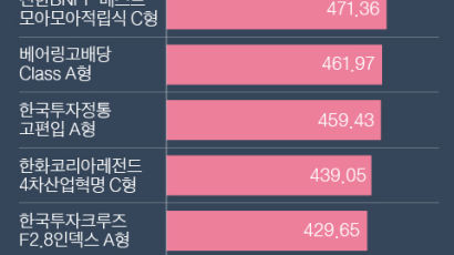 17년 장수펀드 124개…누적수익률 1위 569%