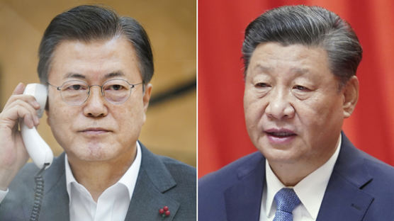 시진핑 “비핵화는 공동 이익에 부합…文대통령 높이 평가”