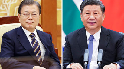 시진핑, 문 대통령과 통화 “코로나 안정되면 조속히 방한”