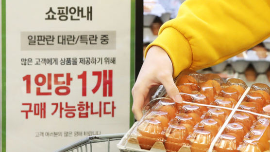 금달걀 20% 싸게···대형마트 농산물 할인 '농할' 내달 3일까지