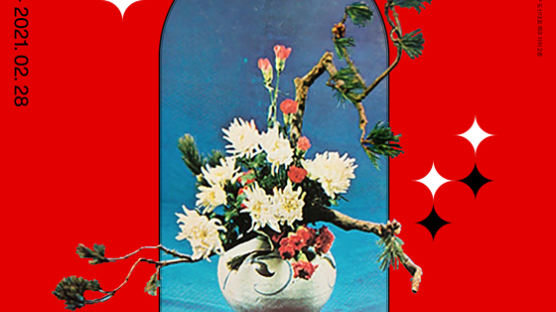 왜 꽃무늬에 열광했을까, 80년대 강남 아파트를 소환하다