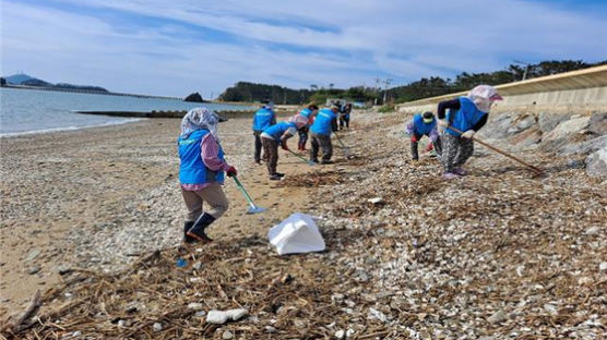 인천 옹진군, 2021년 하천하구·해양 쓰레기 종합 추진계획 수립