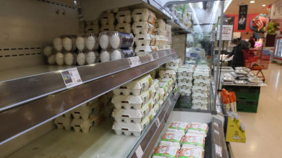 [사진] 텅빈 달걀 판매대