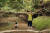 할리우드에서 돌풍을 일으키고 있는 영화 ‘미나리’에 등장하는 미나리꽝 . 배우 윤여정이 미국 시골 냇가에서 손자와 함께 한가로운 시간을 보내고 있다. [사진 판시네마]