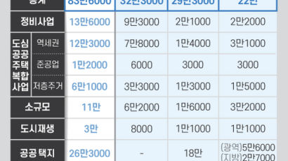 [뉴스분석] 전국 83만 가구, 서울엔 분당 3개 규모 공급 ‘속도전’