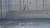 지난 1일 오후 경기도 연천군 임진강 군남댐 아래쪽에 나타난 흰꼬리수리 2마리. 연천지역사랑실천연대