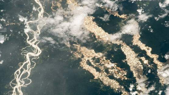 우주서 찍힌 놀라운 '금빛 웅덩이들'…아마존 재앙이었다