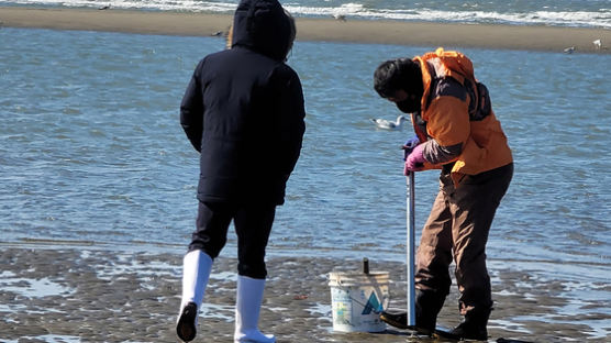 "관광객 '개불' 싹쓸이"···갯벌 어슬렁대는 '빠라뽕'의 정체