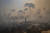 지난해 8월 23일 브라질 파라 주 노보 프로그레소 근처에서 발생한 산불이 초지를 태우고 있다. 이곳은 가축을 기르는 농부들이 삼림을 벌채한 곳이다. AP=연합뉴스