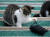 서울시에서 반려동물이 코로나에 감염된 사례가 처음으로 확인됐다. 사진은 지난달 25일 오후 서울 시내 한 공원에서 떨어진 마스크를 가지고 장난 치는 길고양이의 모습. 뉴스1