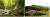 원시림의 자연을 그대로 간직하고 있는 실비단 폭포(좌). 5월 진홍빛 화원으로 변한 지리산 바래봉 철쭉(우).