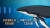 대왕고래의 울음소리는 최대 188dB(데시벨)로 비행기 엔진 소리보다 크다. IFAW
